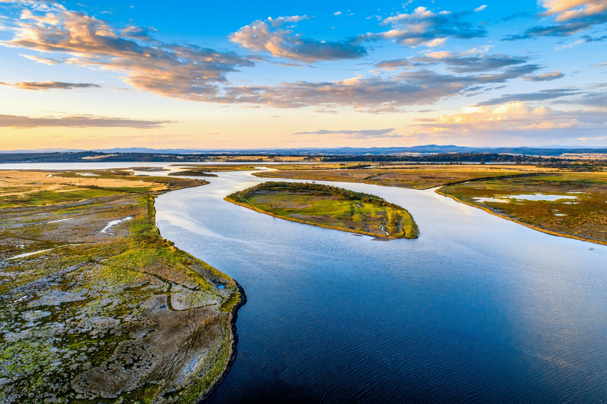 Coastal estuary habitat