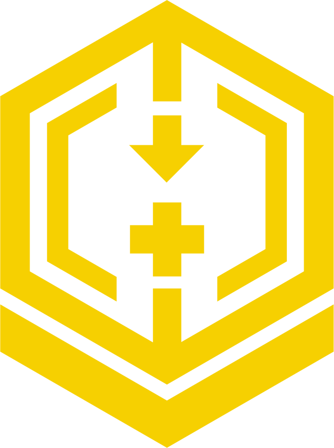 Image of the Twin Guards's Logo